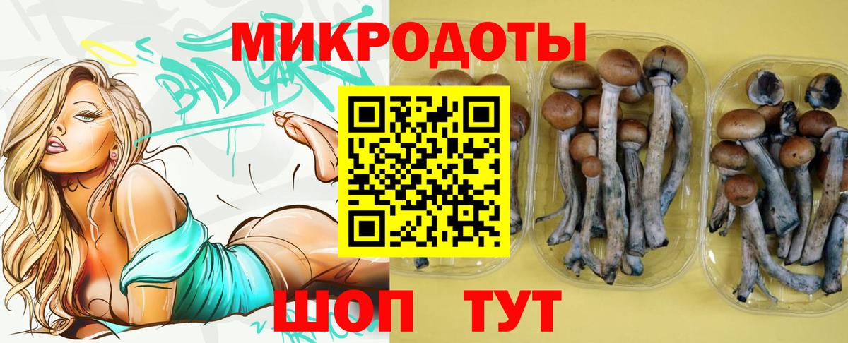 Красноармейск  Галлюциногенные грибы Psilocybine cubensis  Вход с VPN 
